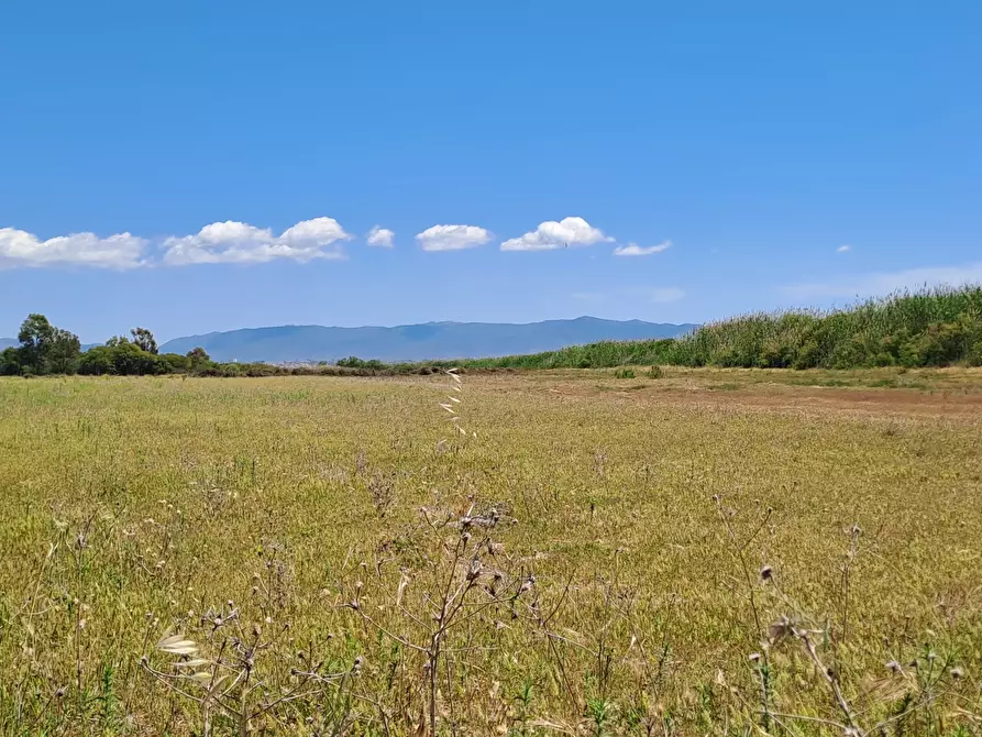 Immagine 12 di Terreno agricolo in vendita  a Quartu Sant'elena