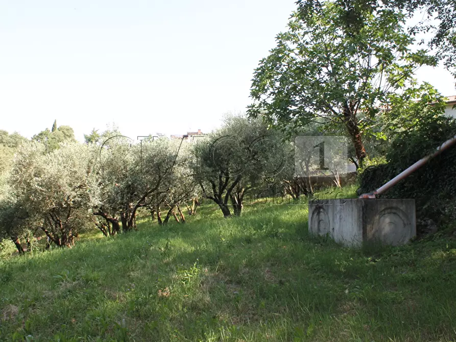 Immagine 7 di Villa in vendita  a Vicenza