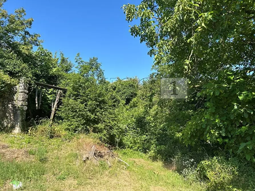 Immagine 5 di Rustico / casale in vendita  in Via Tavella 10 a Barbarano Mossano