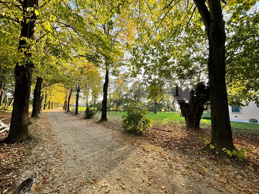 Immagine 22 di Rustico / casale in vendita  in Via Cà Storta 1 a Longare