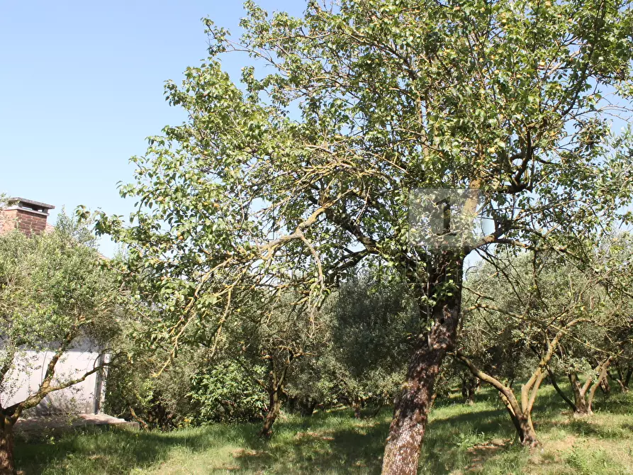 Immagine 14 di Villa in vendita  a Vicenza