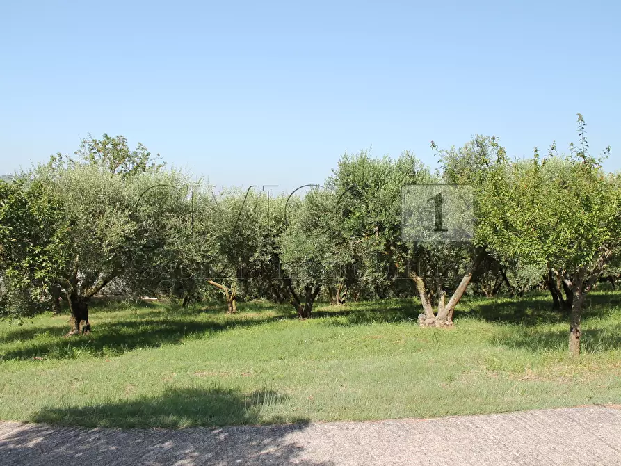 Immagine 14 di Casa indipendente in vendita  a Brendola