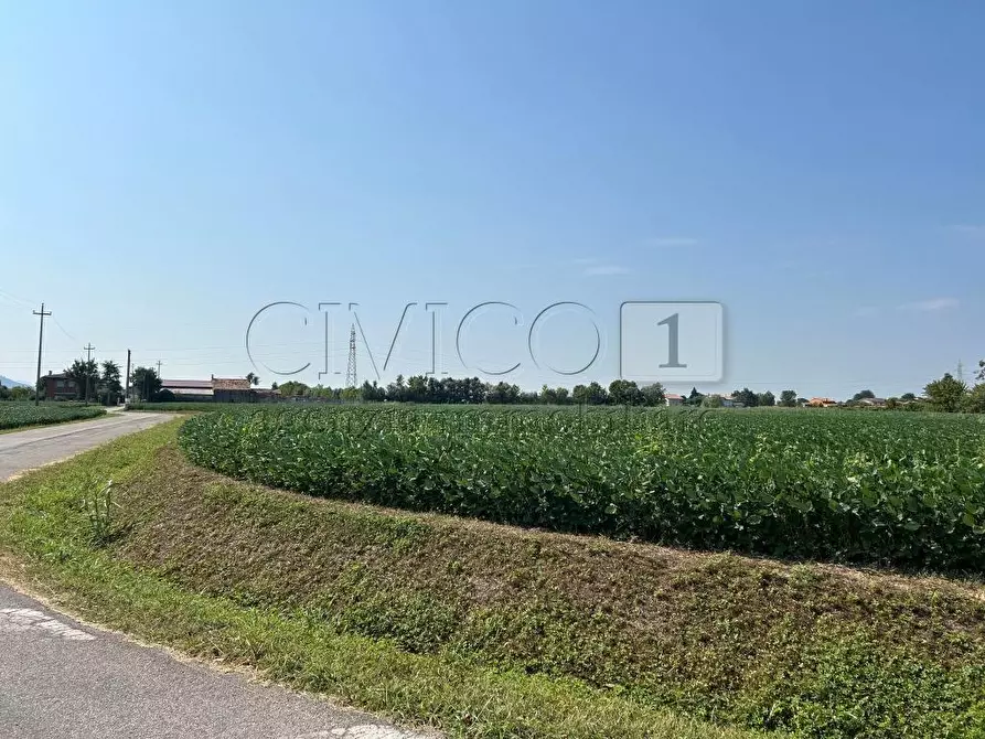 Immagine 17 di Terreno agricolo in vendita  in Via Volpara a Castegnero
