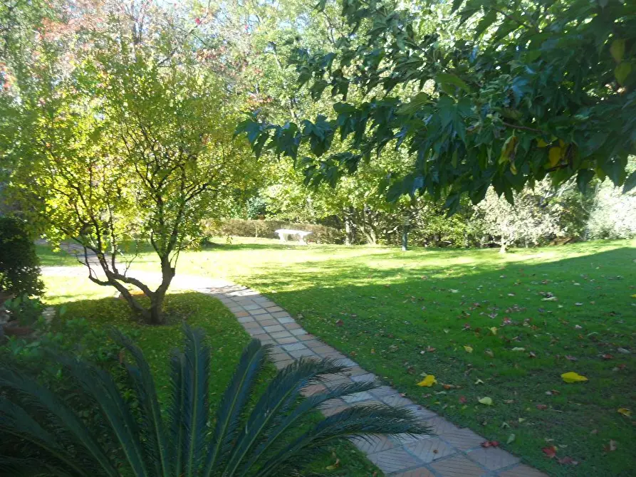 Immagine 6 di Villa in vendita  in Via Ghigliolo Alto 28 a Sarzana