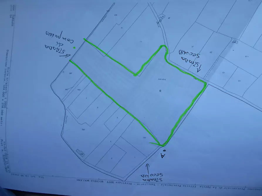 Immagine 3 di Terreno agricolo in vendita  in Via Alta a Sarzana