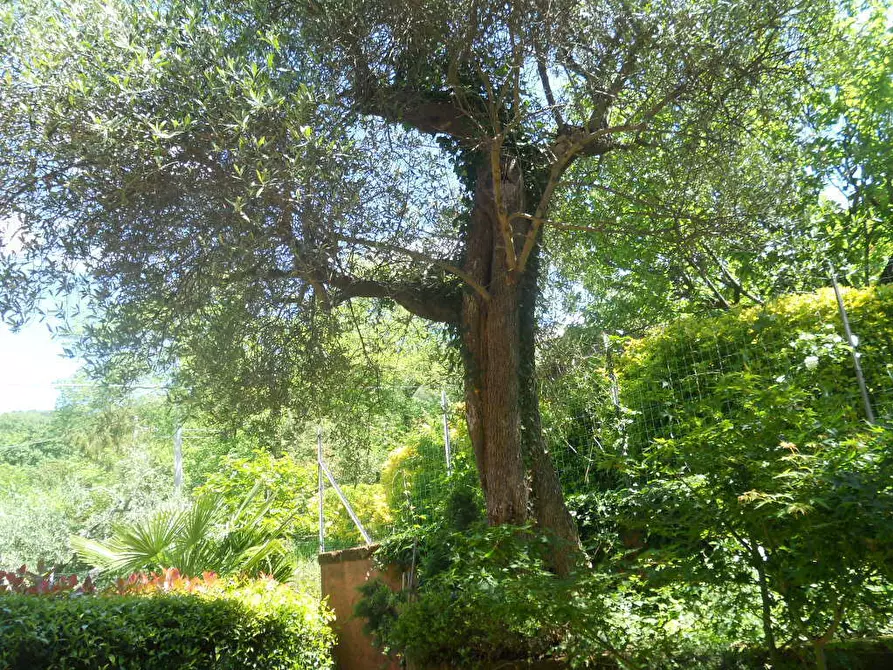 Immagine 24 di Terratetto in vendita  in Via Carbonara 33 a Castelnuovo Magra
