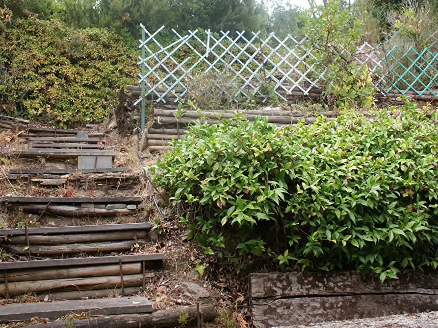 Immagine 2 di Casa semindipendente in vendita  in Via C. A. Fabbricotti 18 a Ameglia