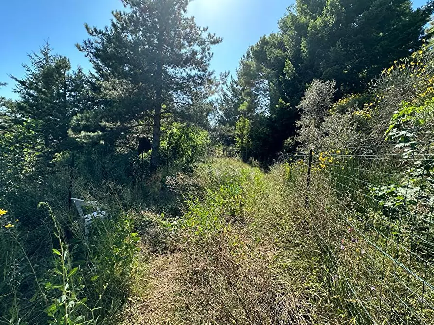 Immagine 25 di Villa in vendita  in Via Pianaccia a Fosdinovo