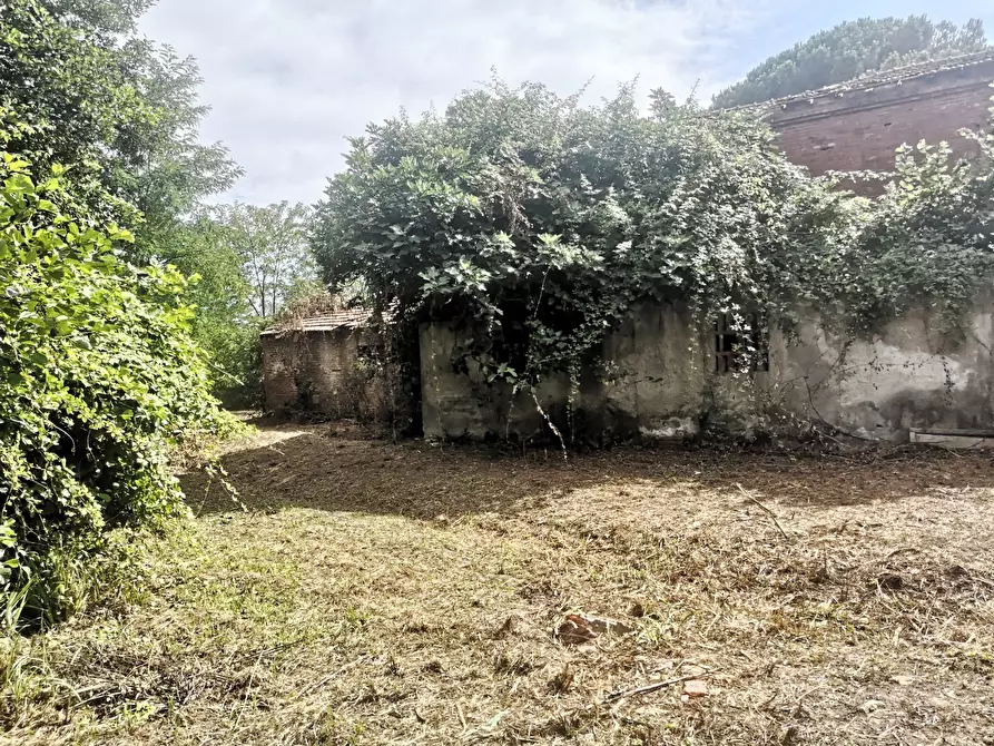 Immagine 12 di Rustico / casale in vendita  in Via Tavolara 59 a Castelnuovo Magra