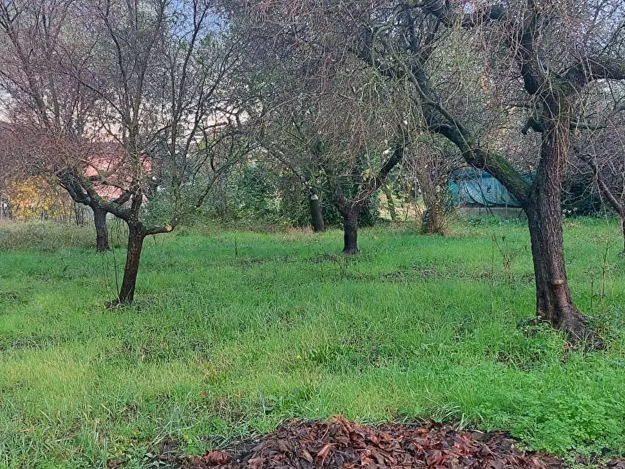 Immagine 1 di Terreno edificabile in vendita  in Via del Maggiore 7 a Castelnuovo Magra