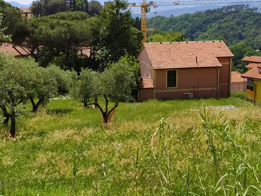 Immagine 5 di Villa in vendita  in Via Falcinello 300 a Sarzana
