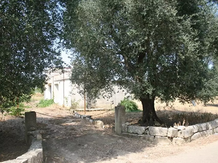 Immagine 3 di Terreno agricolo in affitto  in contrada mandrò a Cutrofiano