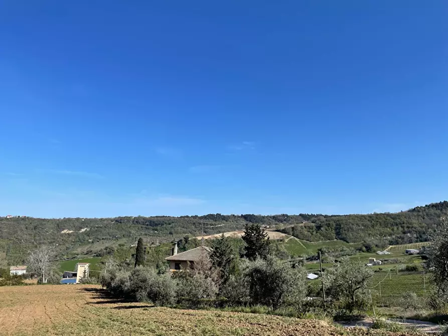Immagine 2 di Rustico / casale in vendita  a Ripatransone