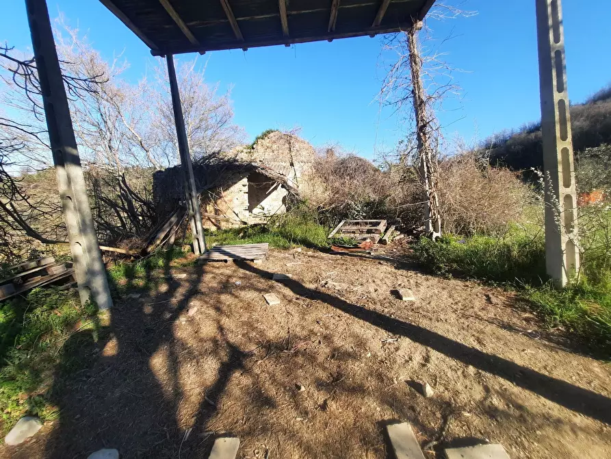 Immagine 13 di Casa indipendente in vendita  in cantina Cocci Grifoni a Ripatransone