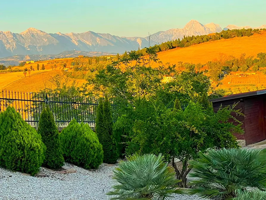 Immagine 36 di Casa indipendente in vendita  a Morro D'oro