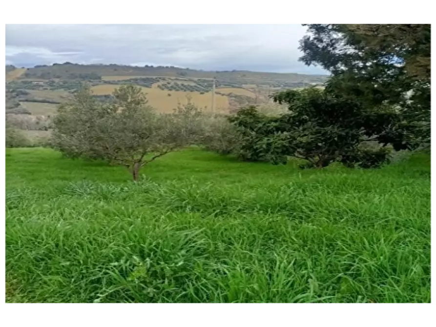 Immagine 4 di Casa indipendente in vendita  a San Benedetto Del Tronto