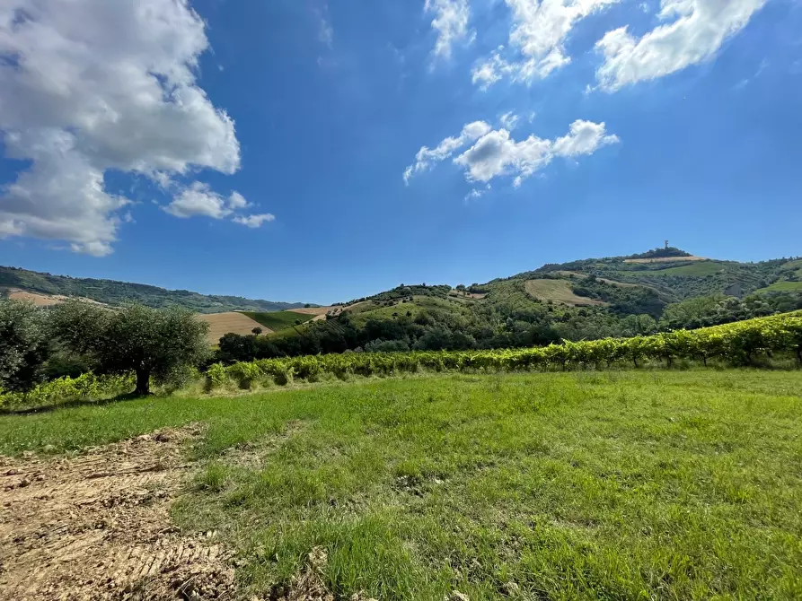 Immagine 13 di Rustico / casale in vendita  a Ripatransone
