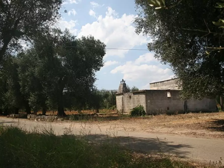 Immagine 29 di Terreno agricolo in affitto  in contrada mandrò a Cutrofiano