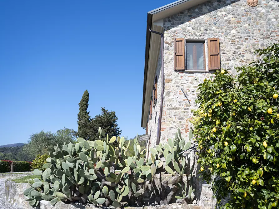 Immagine 67 di Casa indipendente in vendita  a Sarzana