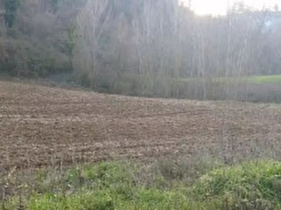 Immagine 30 di Casa indipendente in vendita  a Mondavio