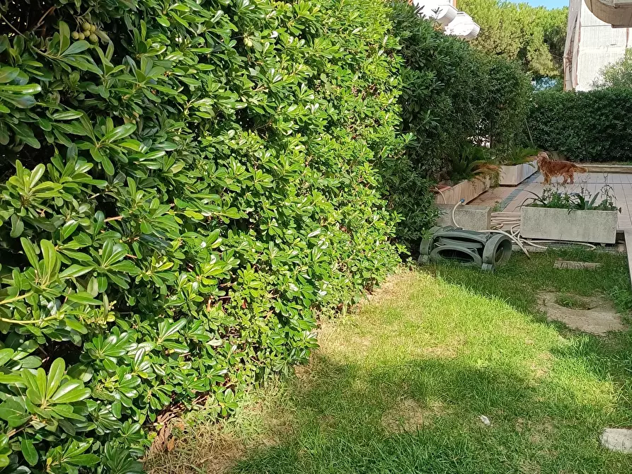 Immagine 19 di Appartamento in vendita  a San Benedetto Del Tronto