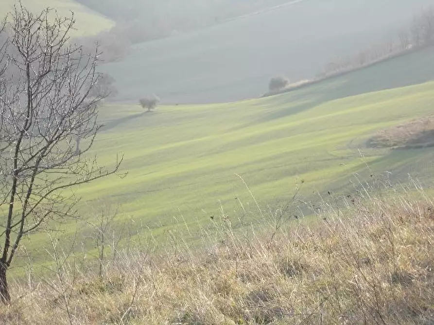 Immagine 8 di Terreno agricolo in vendita  in contrada a Ripatransone