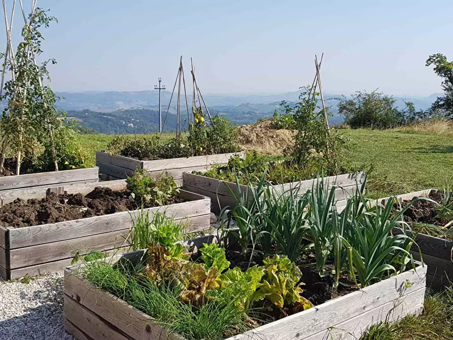 Immagine 35 di Rustico / casale in vendita  in VILLA CASALICCHIO s.n.c. a Amandola