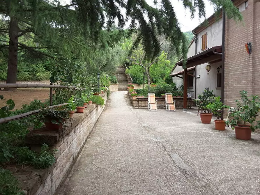 Immagine 13 di Agriturismo in vendita  a Offagna