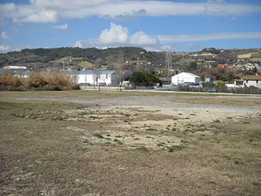 Immagine 11 di Terreno agricolo in affitto  a Grottammare