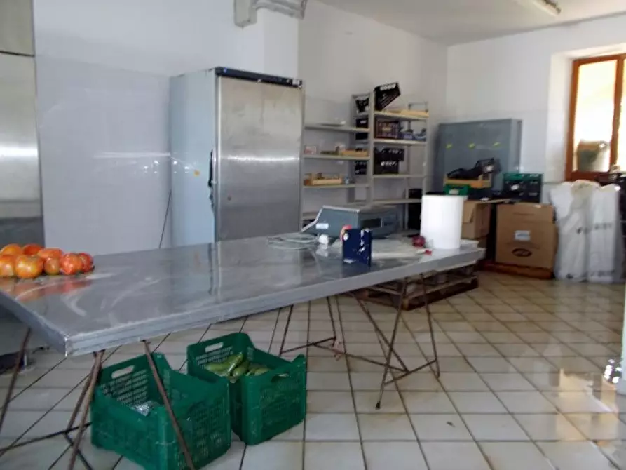 Immagine 5 di Azienda agricola in vendita  a Ripatransone