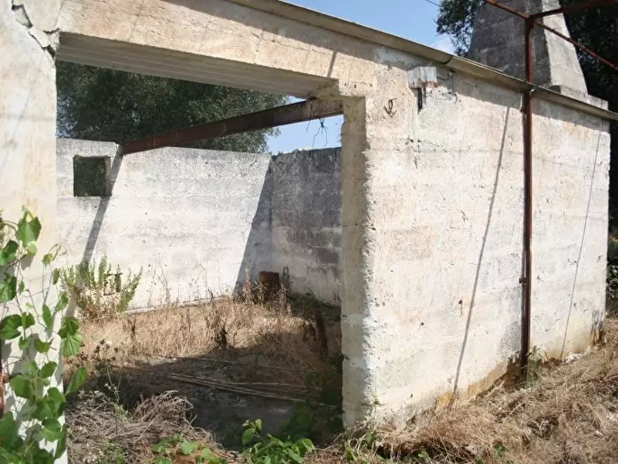 Immagine 38 di Terreno agricolo in vendita  in contrada mandrò a Cutrofiano