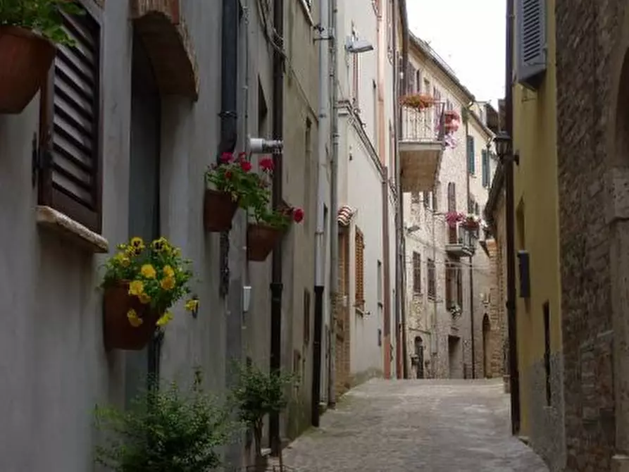 Immagine 38 di Appartamento in vendita  a Ripatransone