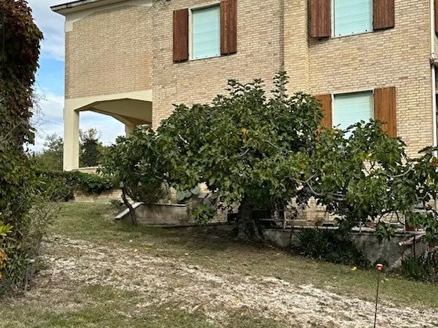 Immagine 4 di Casa bifamiliare in vendita  a Carassai