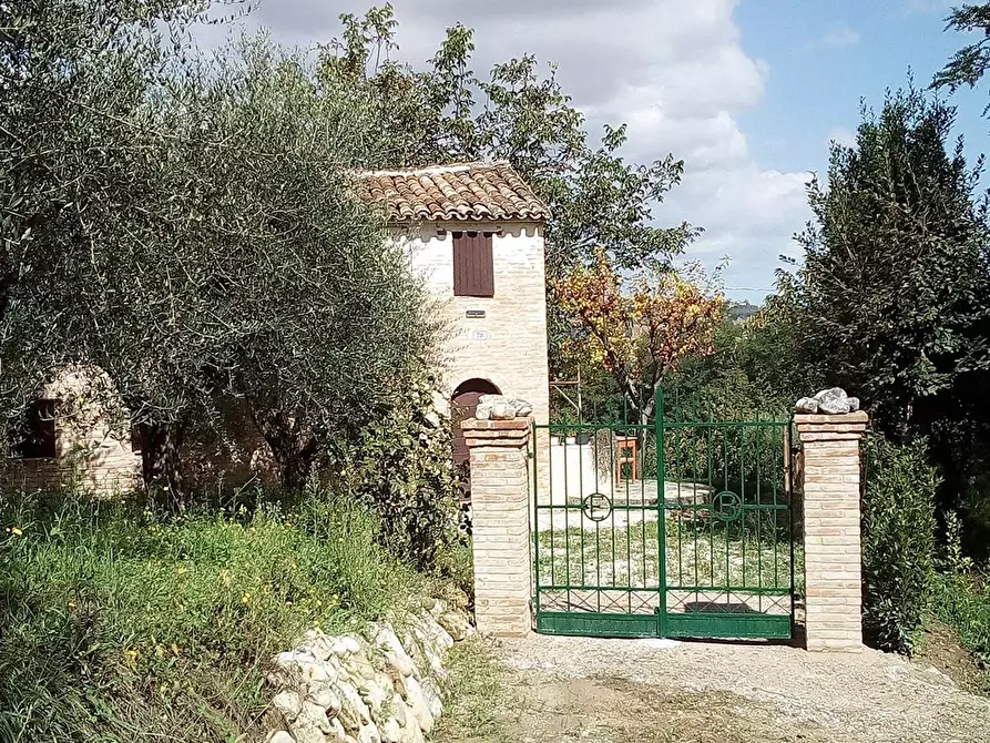 Immagine 15 di Rustico / casale in affitto  a Monsampietro Morico