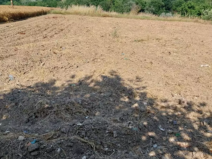 Immagine 3 di Casa indipendente in vendita  a Offida