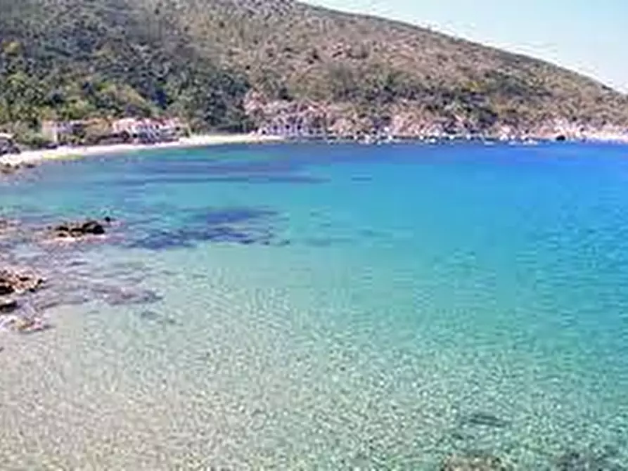 Immagine 15 di Albergo/B&B/Residence in vendita  a Centola