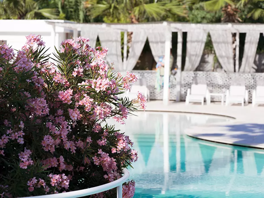 Immagine 11 di Attività commerciale in vendita  a Grottammare