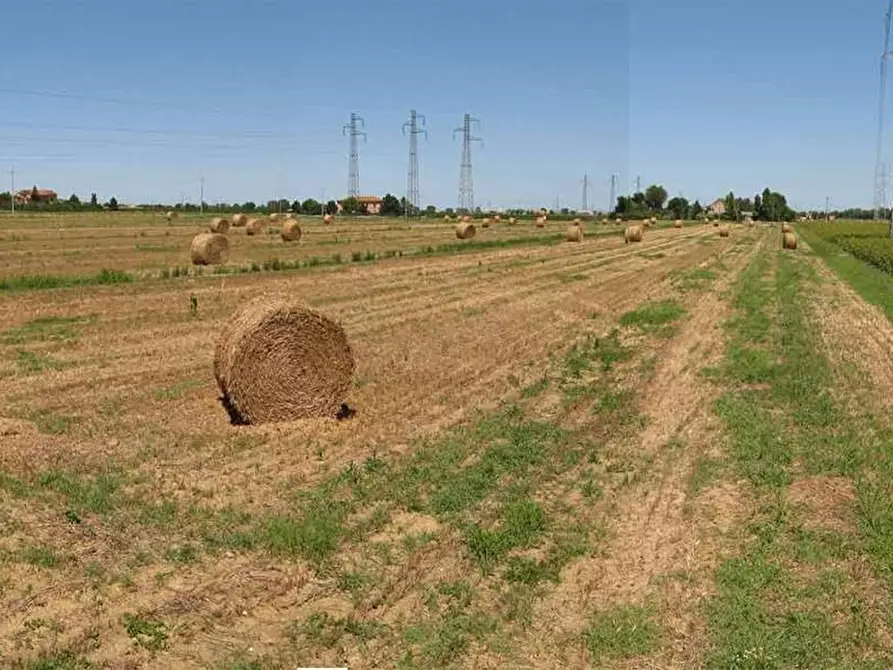Immagine 5 di Terreno agricolo in vendita  a Falconara Marittima