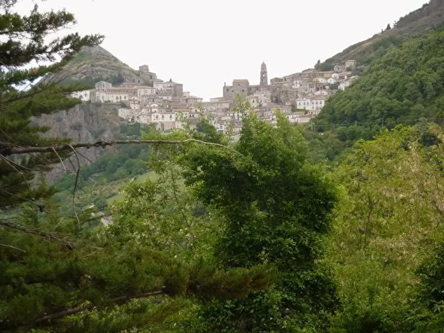 Immagine 15 di Bilocale in vendita  in corso vittorio emanuele a San Fele