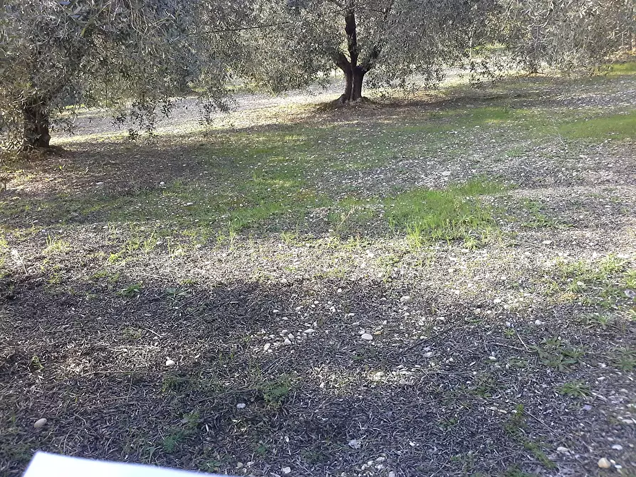 Immagine 27 di Casa indipendente in vendita  a San Benedetto Del Tronto