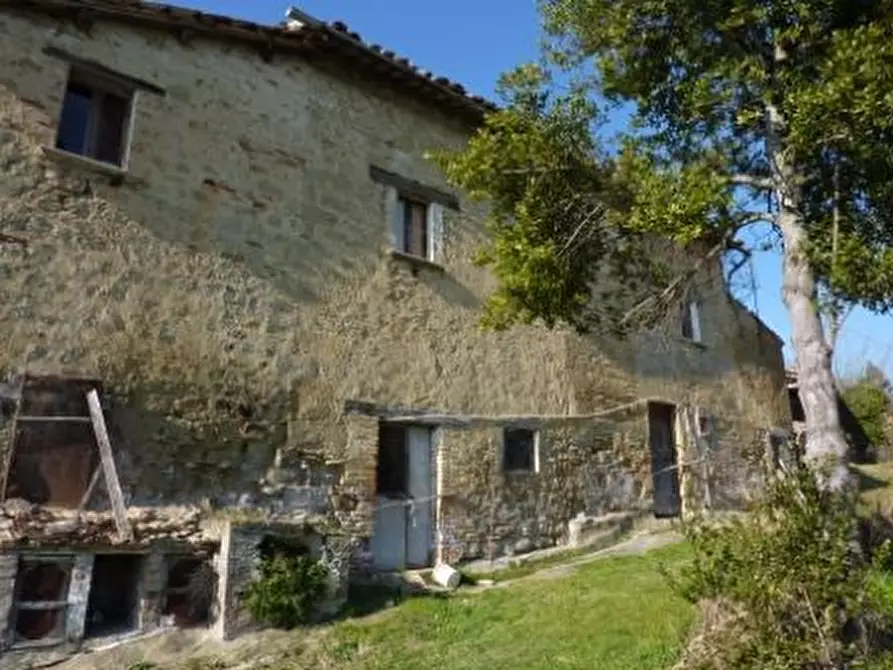 Immagine 2 di Rustico / casale in vendita  in case sparse a Venarotta