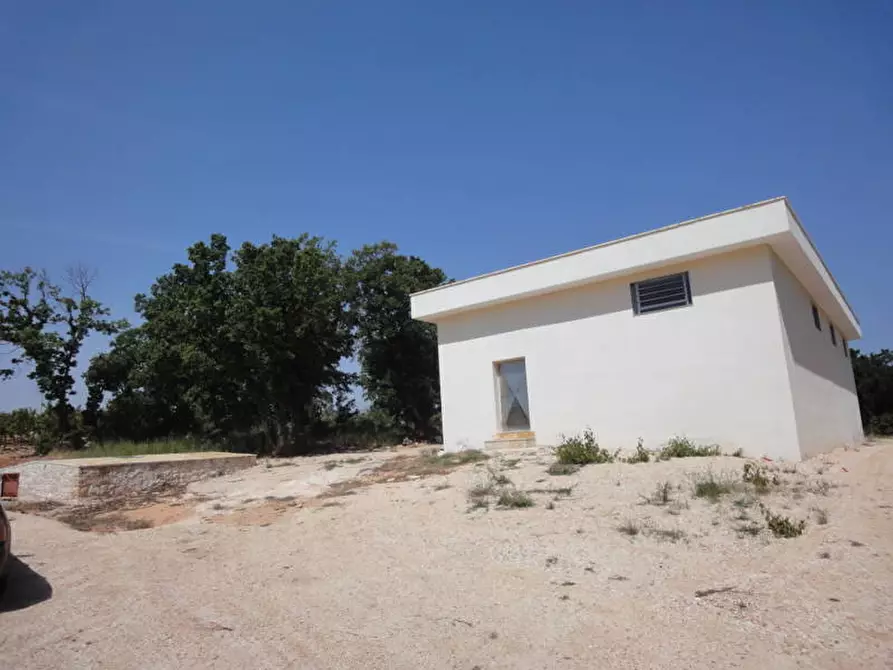 Immagine 39 di Agriturismo in vendita  a Castellana Grotte