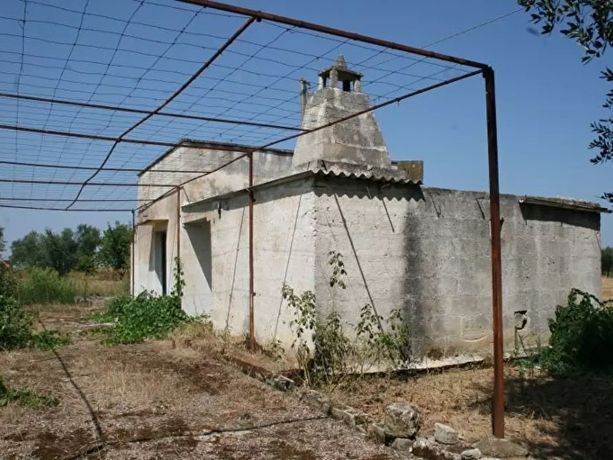Immagine 5 di Terreno agricolo in vendita  in contrada mandrò a Cutrofiano