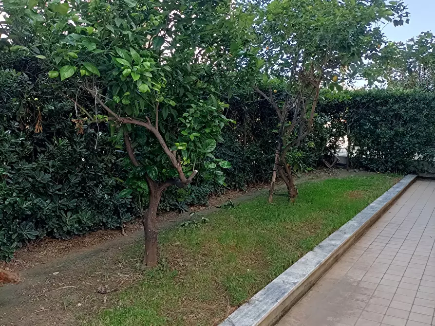 Immagine 20 di Appartamento in vendita  a San Benedetto Del Tronto