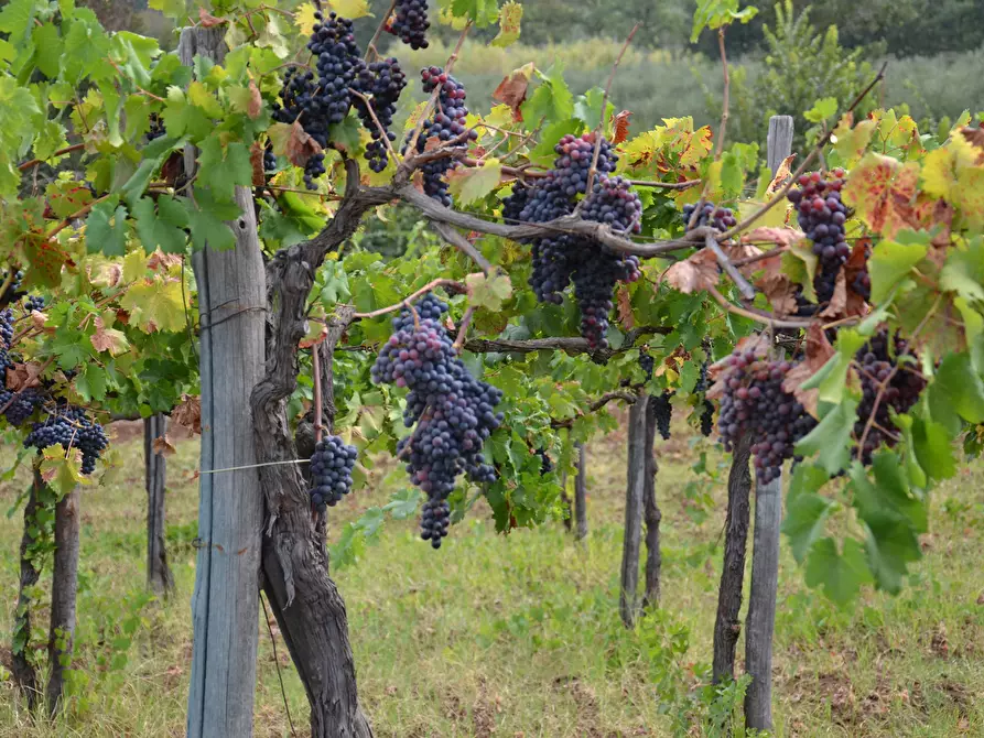 Immagine 5 di Albergo/B&B/Residence in vendita  a Bari