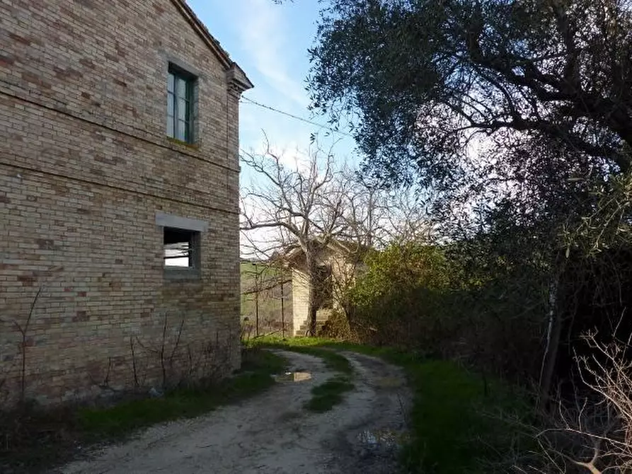 Immagine 13 di Rustico / casale in vendita  a Offida