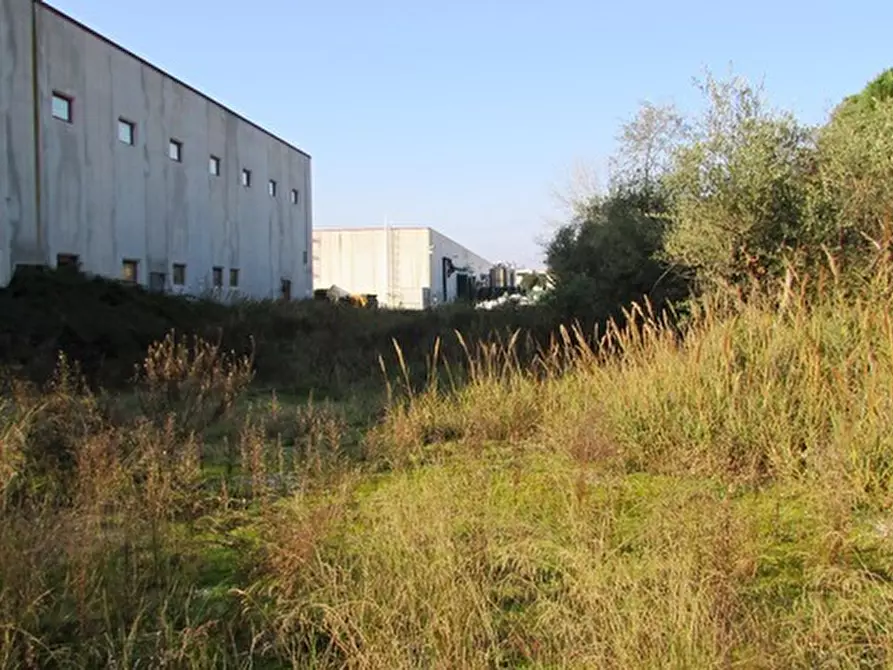 Immagine 21 di Capannone industriale in vendita  a Colonnella