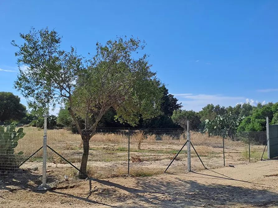Immagine 6 di Terreno agricolo in vendita  a Quartucciu