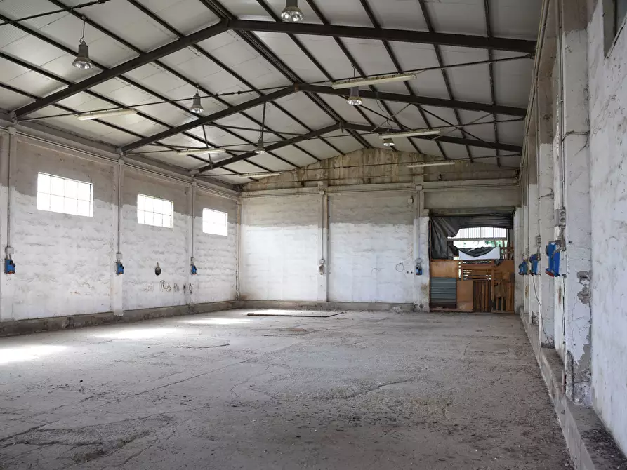 Immagine 9 di Attività artigianale in vendita  a Selargius