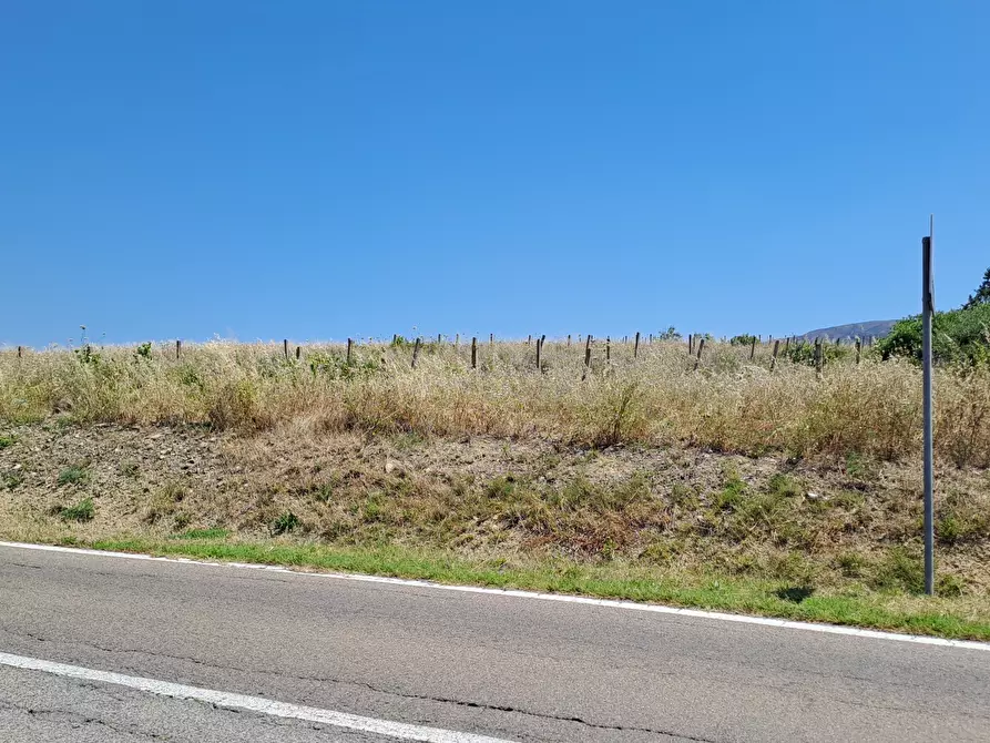 Immagine 11 di Terreno agricolo in vendita  a Settimo San Pietro